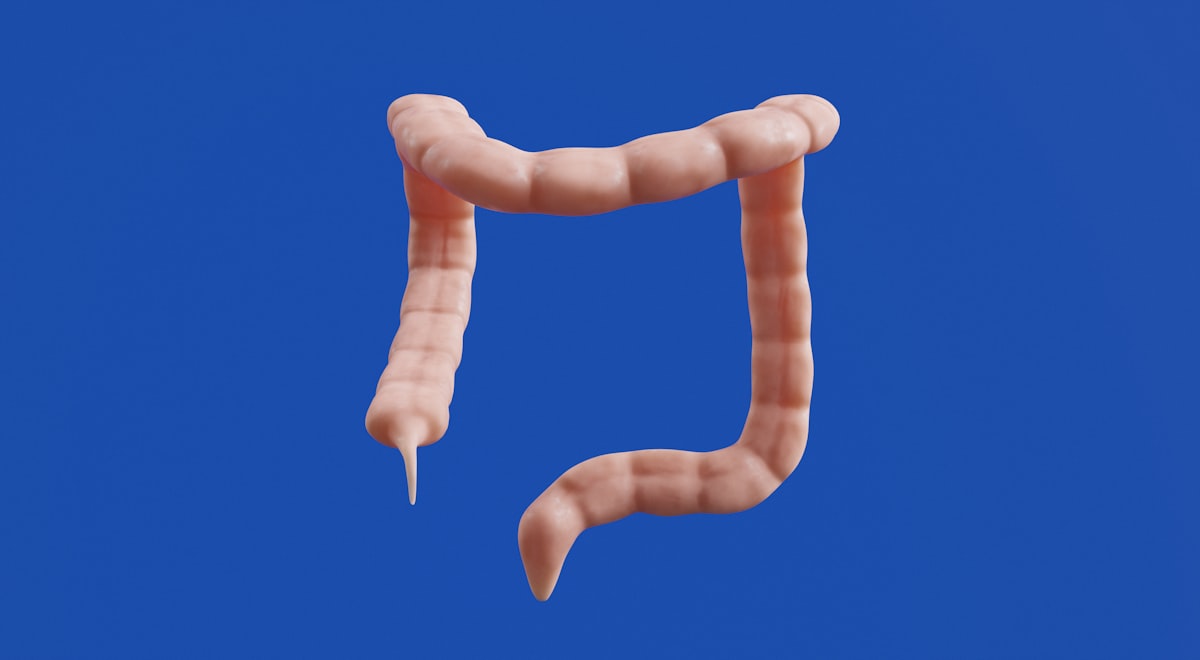 Intestino permeable: mitos y realidades