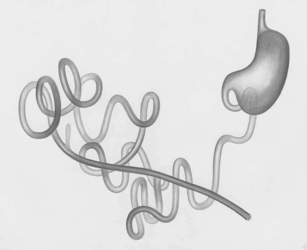 Eje intestino-cerebro explicado